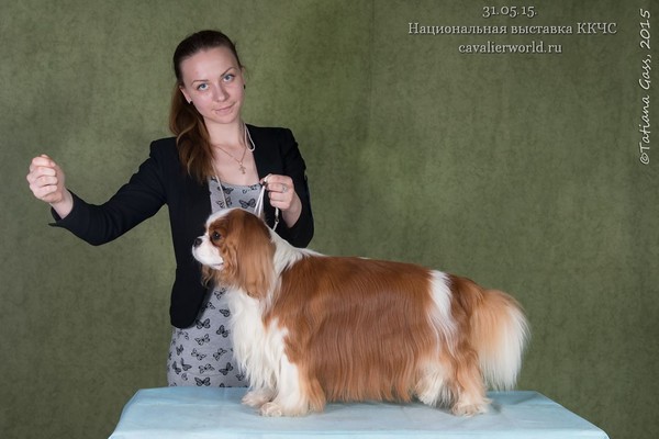 AZARTIS ISKUSITEL КЧК.jpg